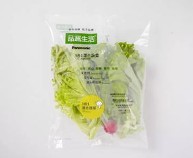蘇州松下新植物工廠蔬菜正式出貨，科技農(nóng)業(yè)開啟綠色新篇章